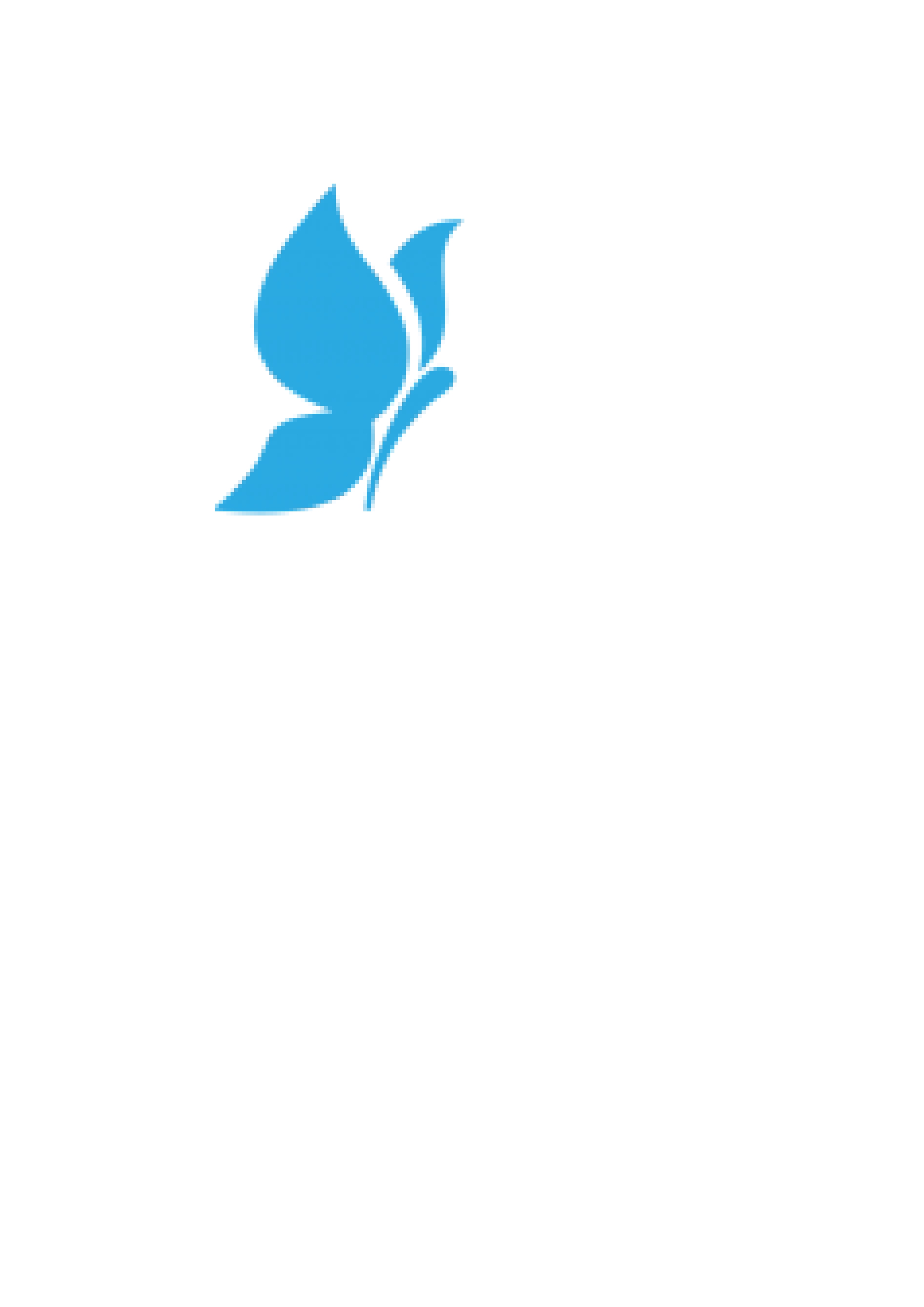 Logo Schmetterling Reinigung GmbH