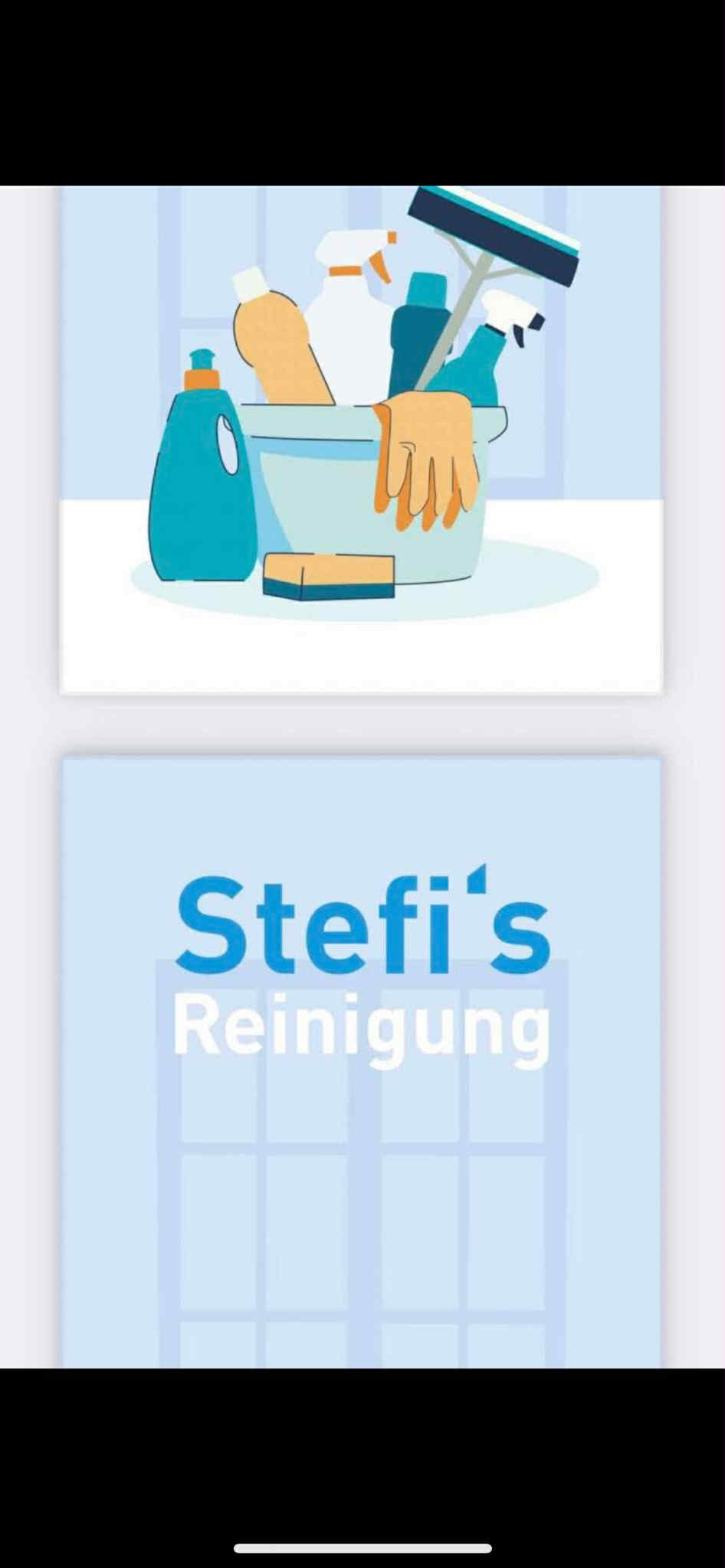 Stefi's Reinigung, proprietar Bonescu Logo