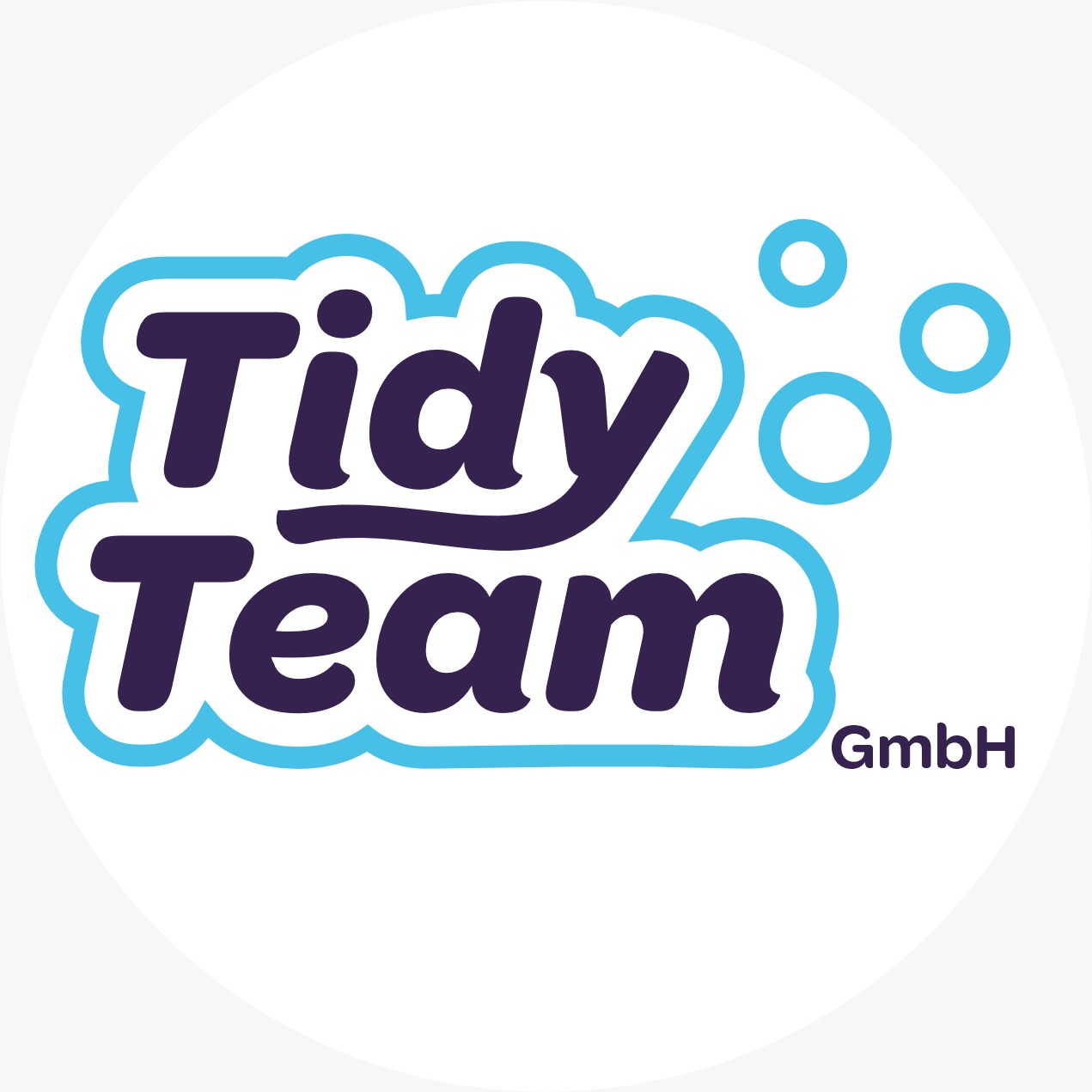 Tidy Team GmbH Logo