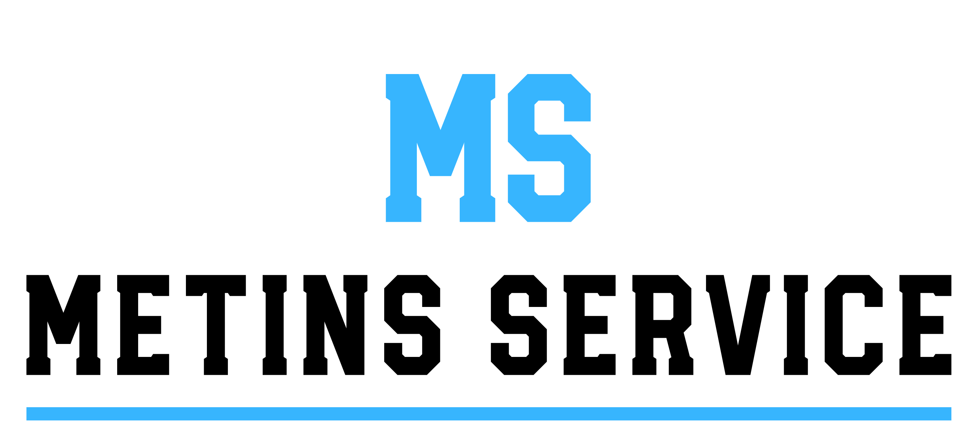 MS Metins Service GmbH Logo