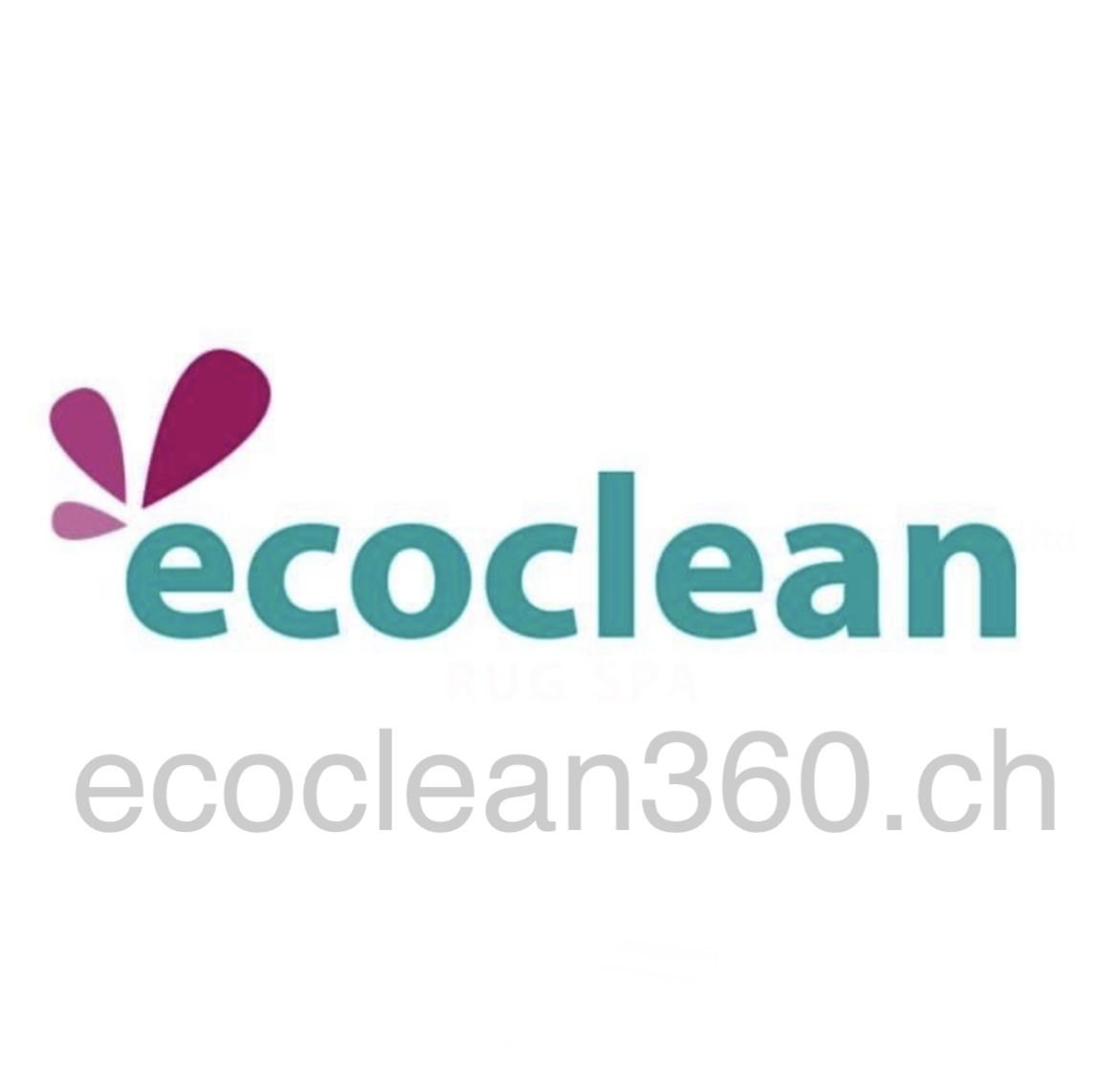 Ecoclean360 Logo
